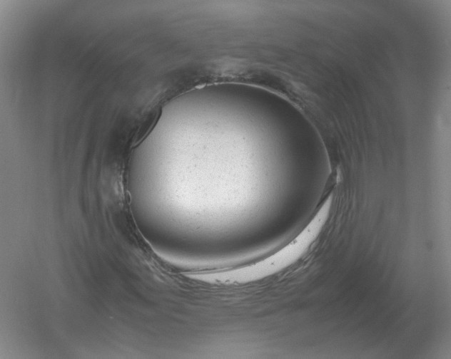 X0000061121155200512022145