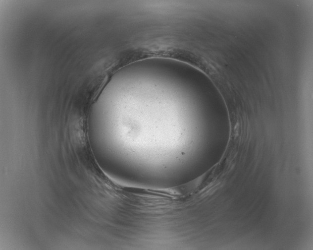 X0000061121156200512022145