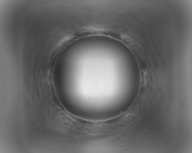 X0000061121157200512022145