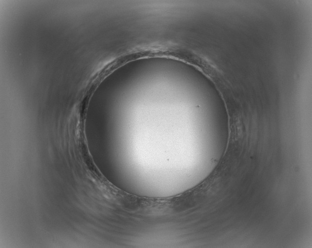 X0000061121158200512022145