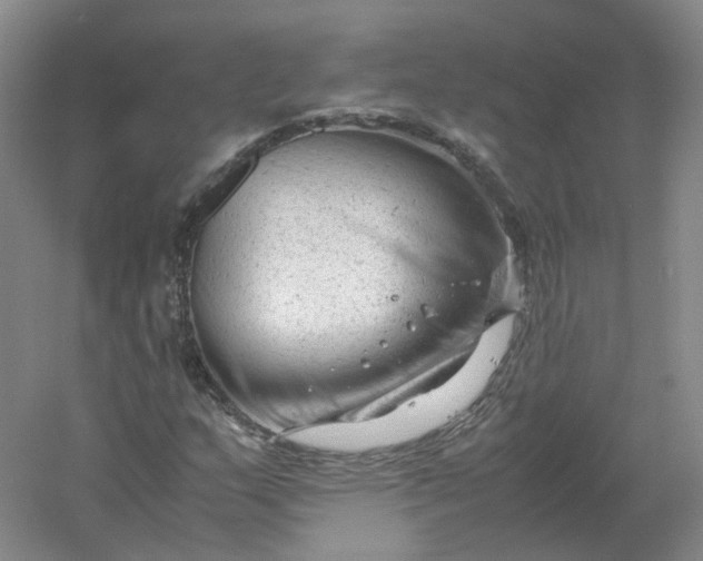 X0000061121159200512022145