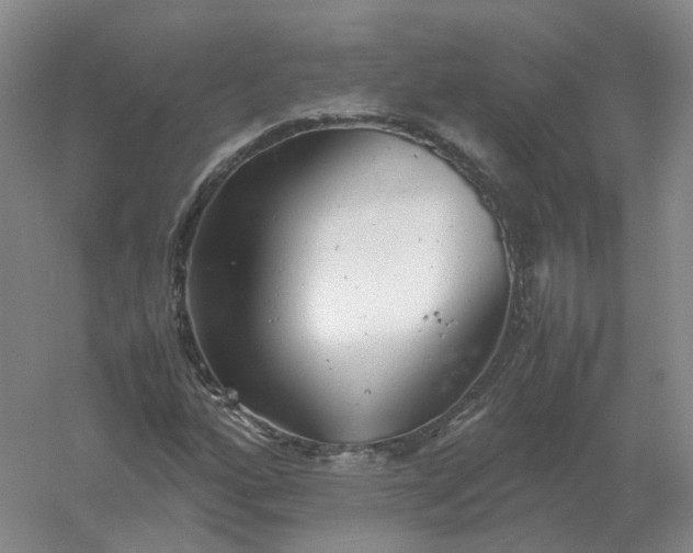 X0000061121160200512022144