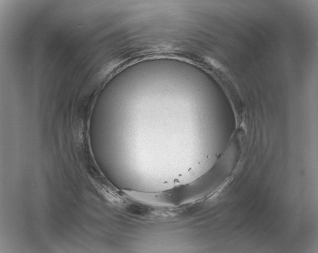 X0000061121161200512022144