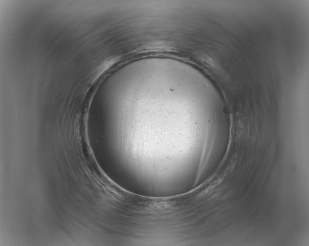 X0000061121162200512022144