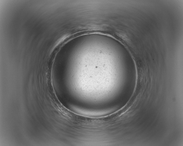 X0000061121163200512022144