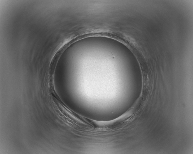 X0000061121165200512022144