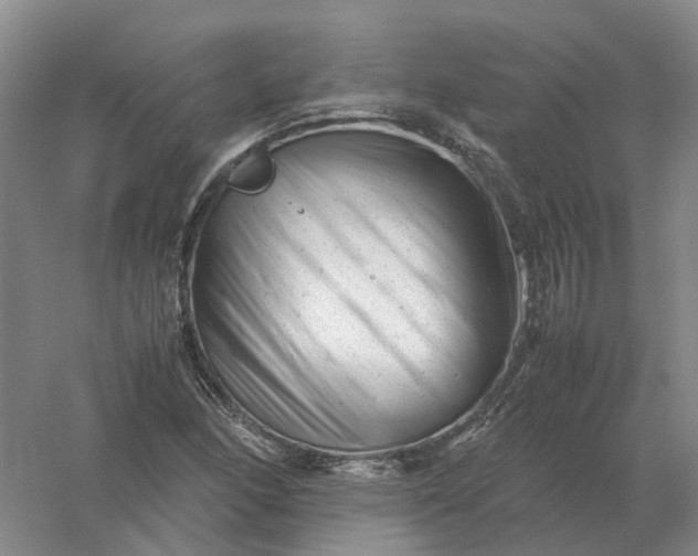 X0000061121166200512022144