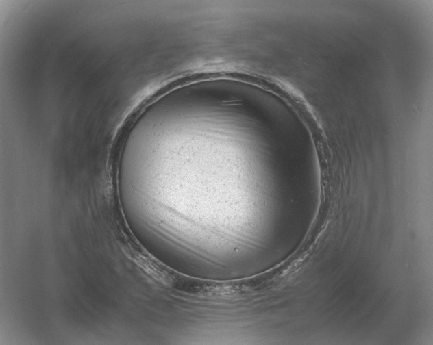 X0000061121167200512022144