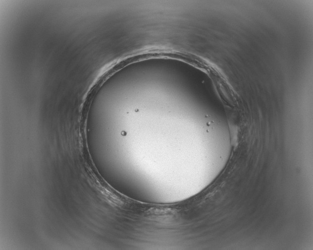 X0000061121168200512022144