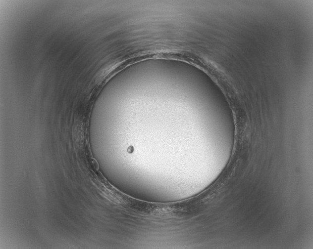 X0000061121169200512022144