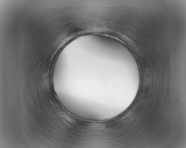 X0000061121170200512022144