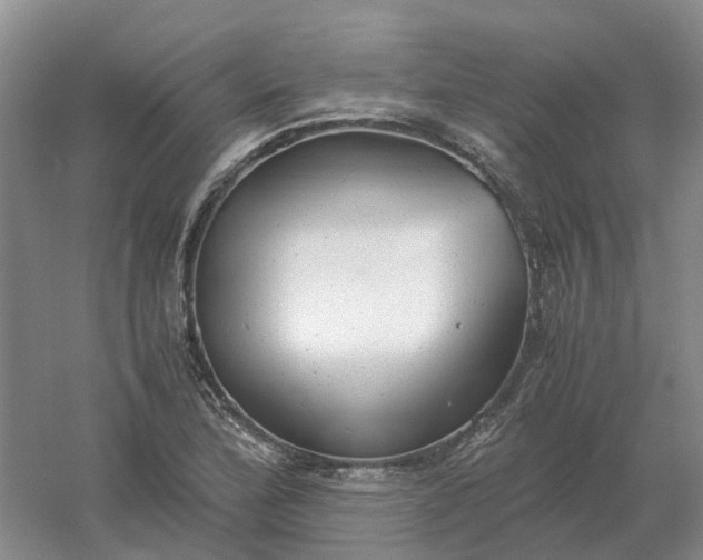 X0000061121172200512022144