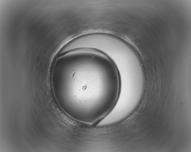 X0000061121173200512022144