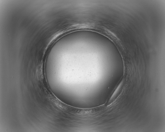 X0000061121174200512022144