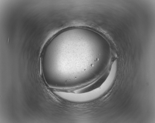 X0000061121175200512022144