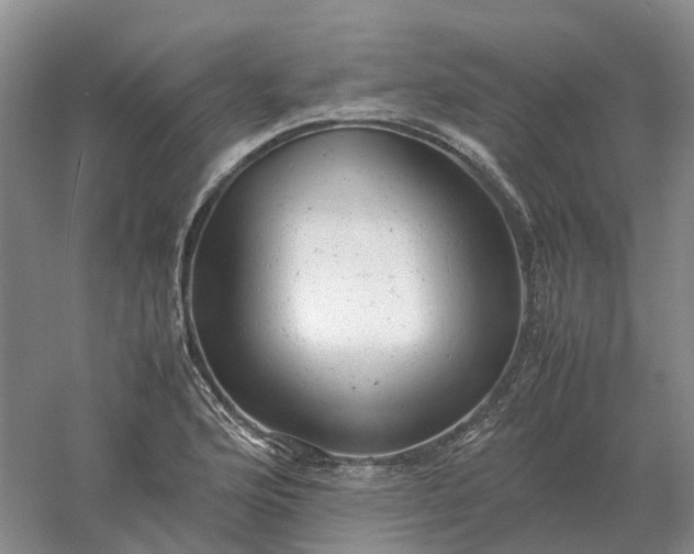 X0000061121176200512022144