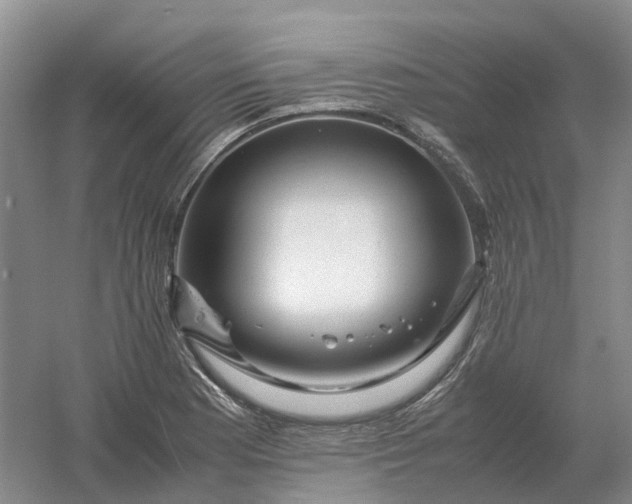 X0000061121177200512022144