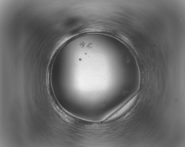 X0000061121179200512022144