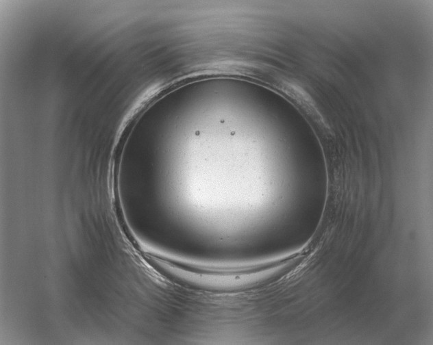 X0000061121180200512022144