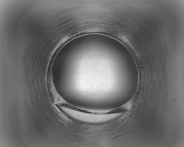 X0000061121181200512022144