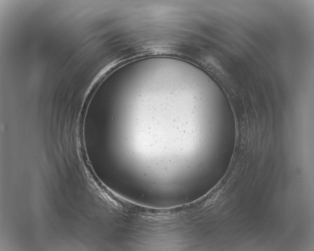 X0000061121182200512022144