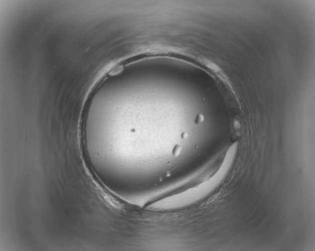 X0000061121183200512022144