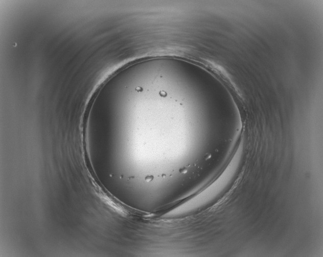 X0000061121184200512022144