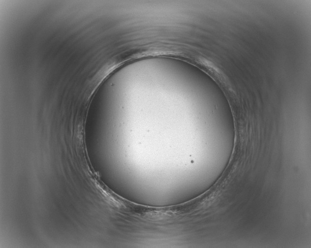 X0000061121185200512022144