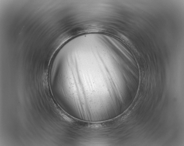 X0000061121186200512022144