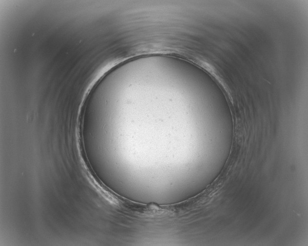 X0000061121187200512022144