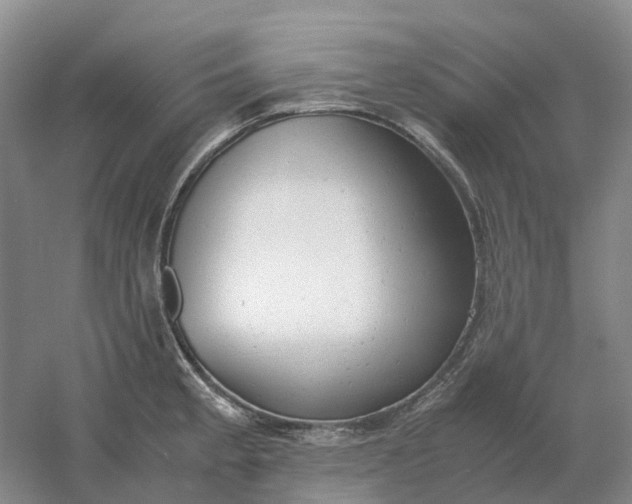 X0000061121189200512022144