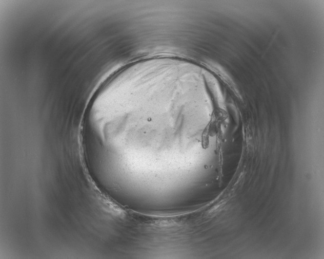 X0000061121190200512022144