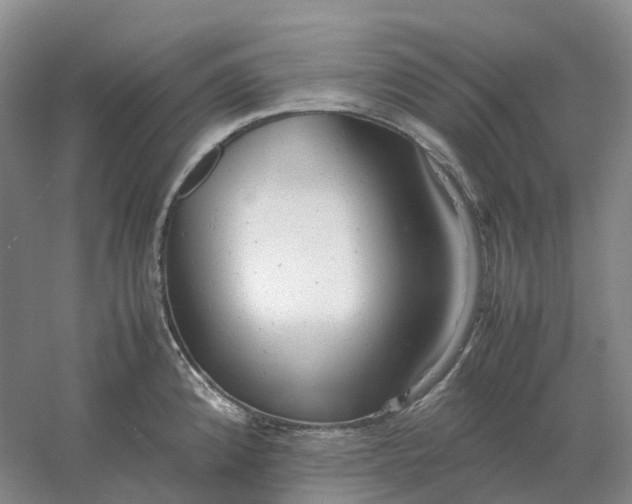 X0000061121192200512022144