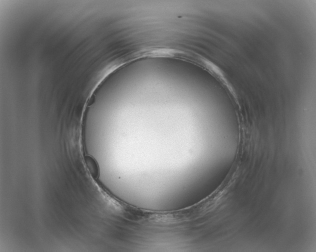 X0000061121194200512022144