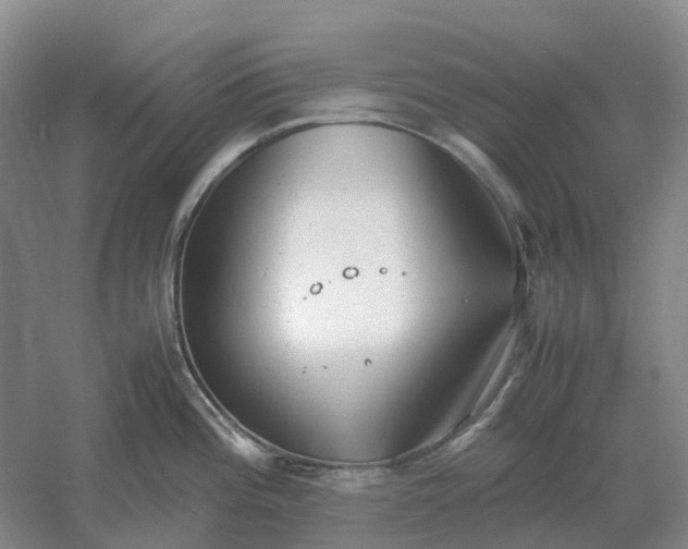 X0000061121196200512022144