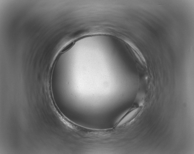 X0000061121197200512022144