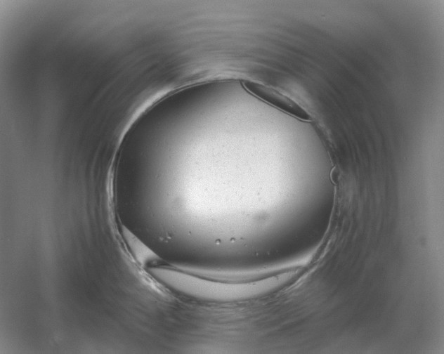 X0000061121198200512022144