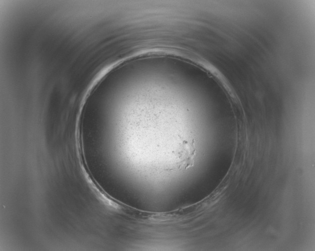 X0000061121199200512022144