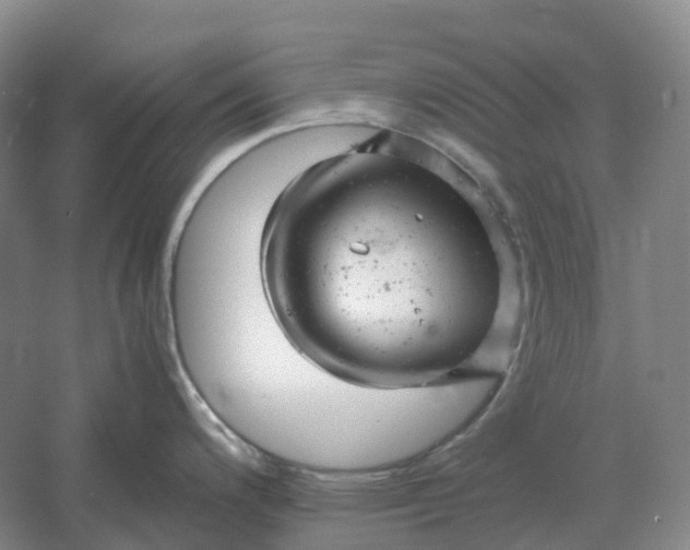 X0000061121200200512022144