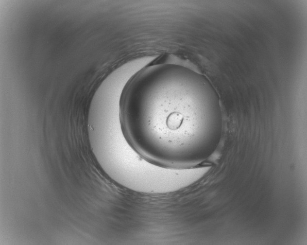 X0000061121202200512022143