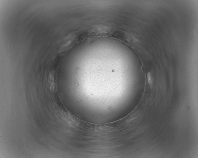 X0000061121203200512022143