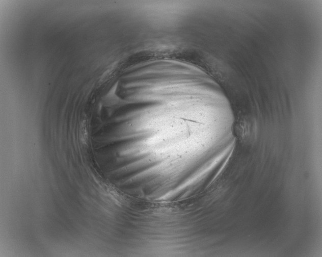 X0000061121204200512022143