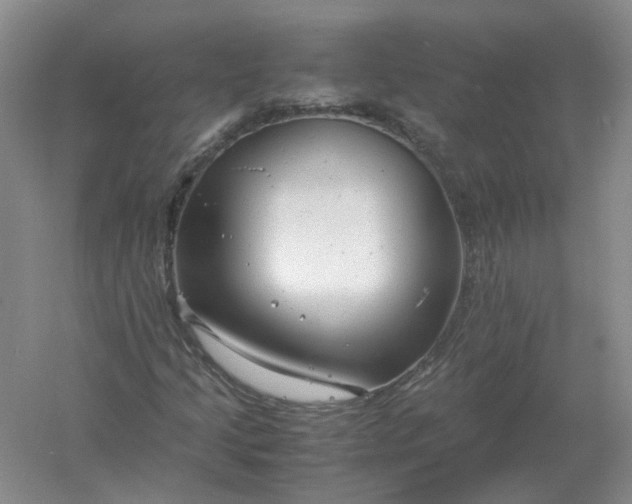 X0000061121205200512022143