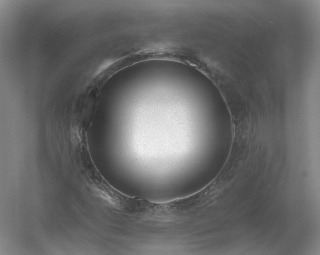 X0000061121206200512022143