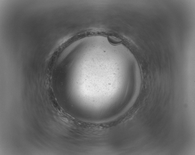 X0000061121207200512022143