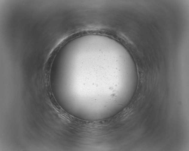 X0000061121208200512022143