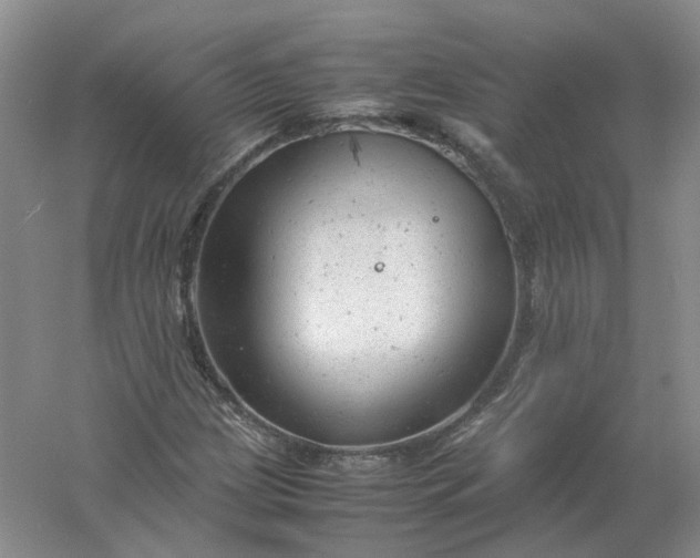 X0000061121209200512022143