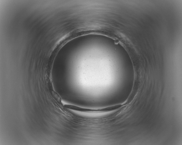 X0000061121210200512022143