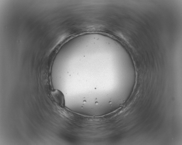 X0000061121211200512022143