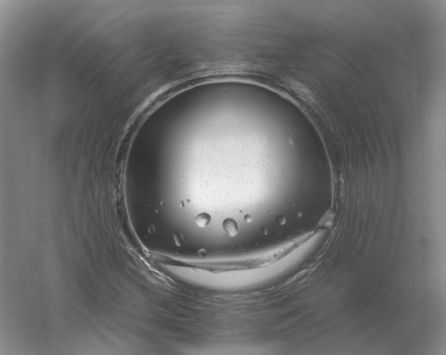 X0000061121212200512022143